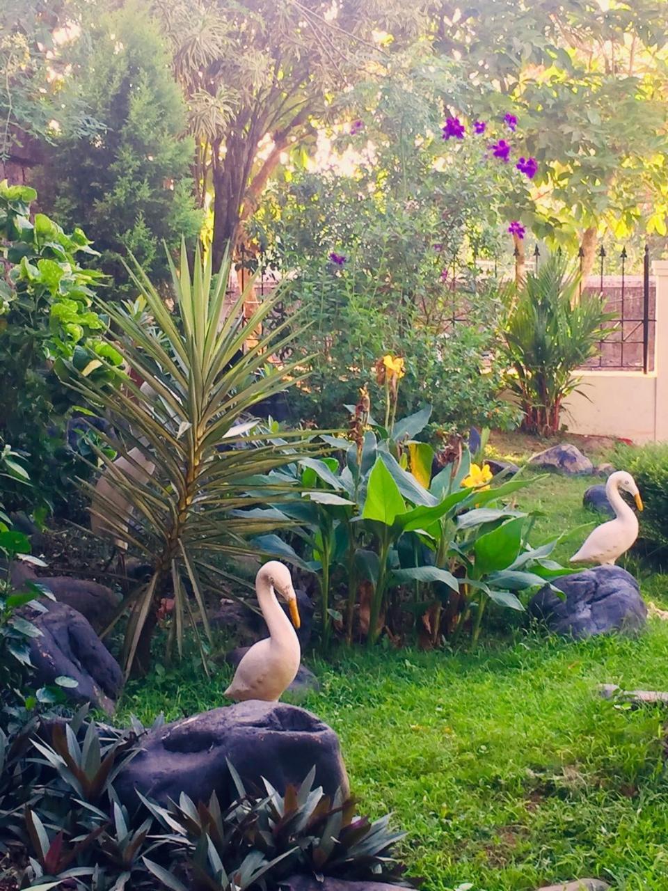 Urban Retreat Homestay منغالور المظهر الخارجي الصورة